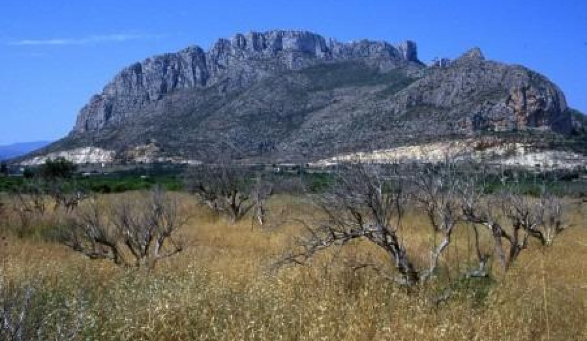 Obra nueva - Apartamento / piso - El Verger