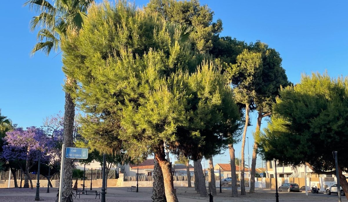 Revente - Appartement - San Pedro del Pinatar