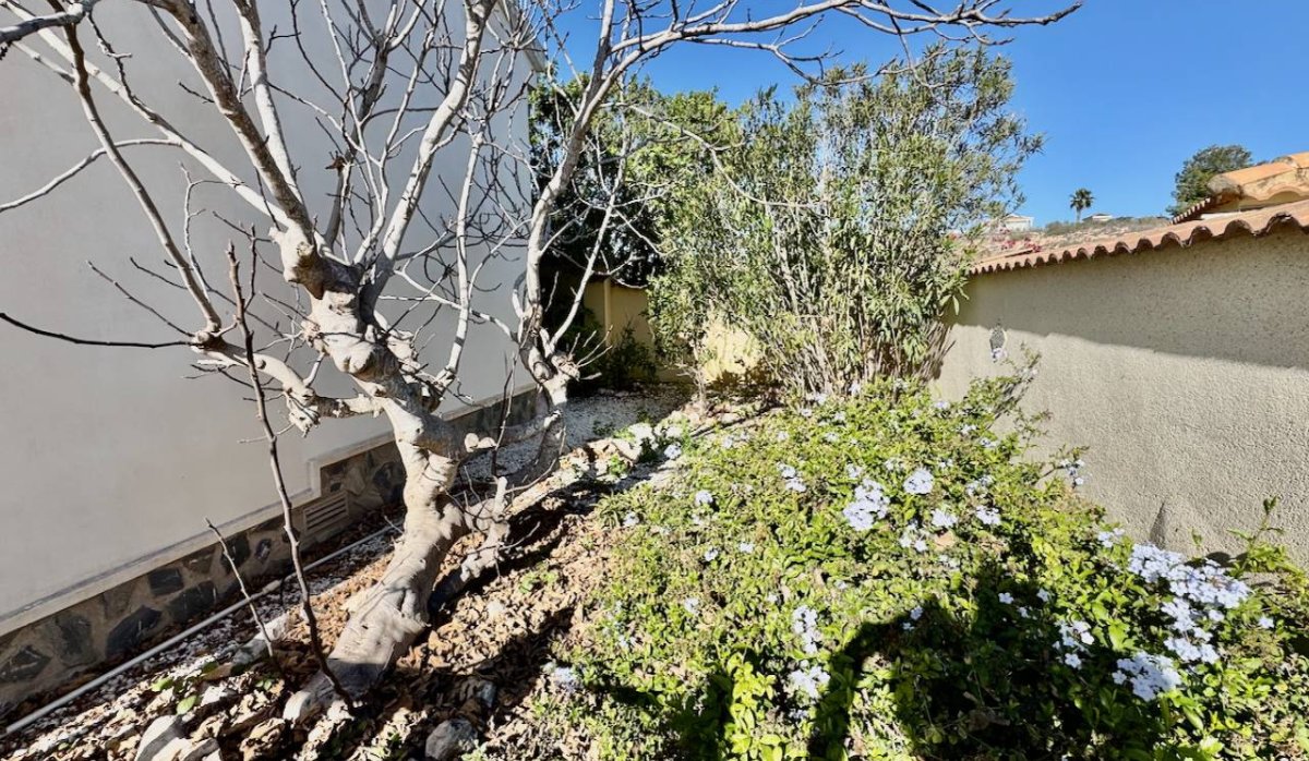 Revente - Villa - Ciudad quesada - Lo Pepin