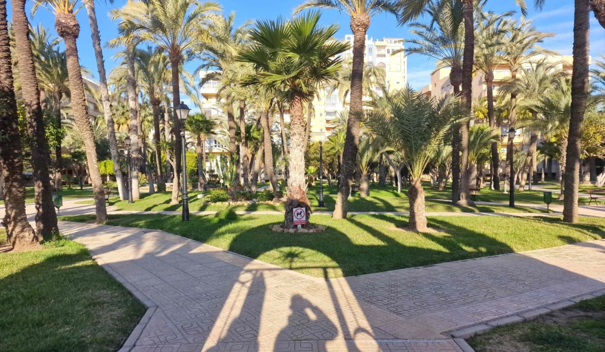 Revente - Appartement - Torrevieja - Playa Los Locos