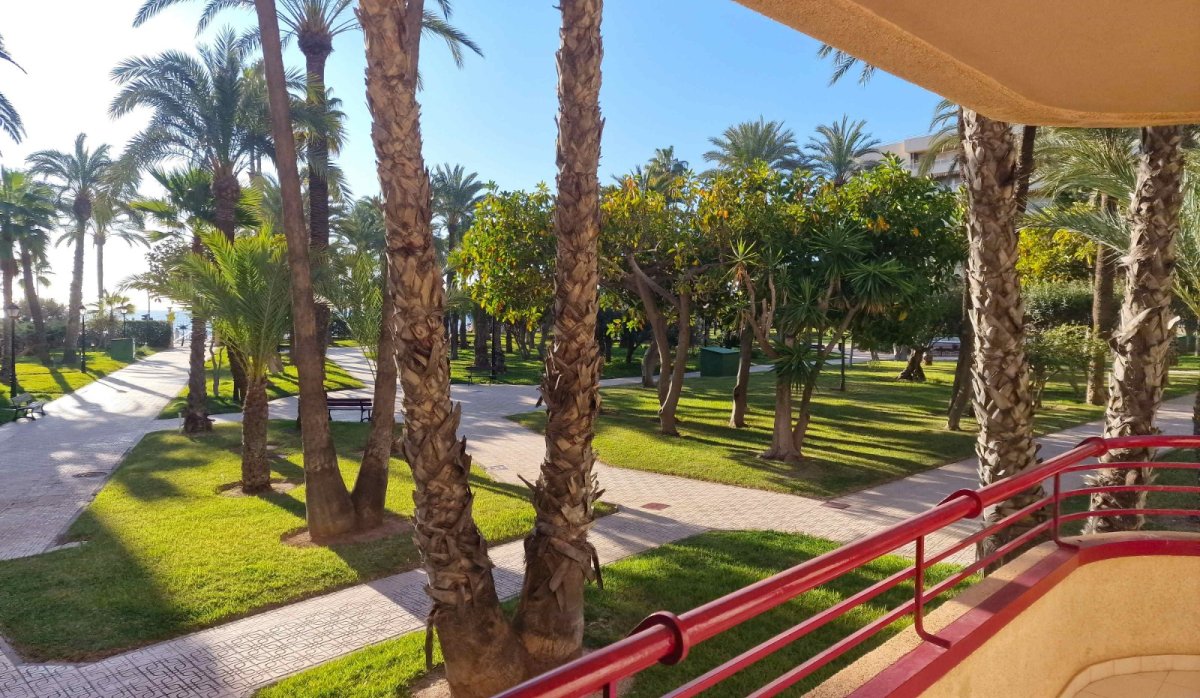 Resale - Apartment / flat - Torrevieja - Playa Los Locos