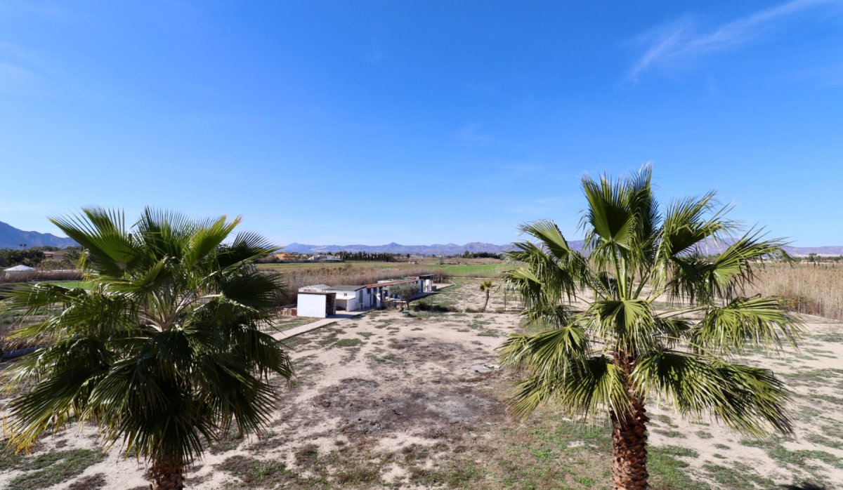 Resale - Villa - Catral