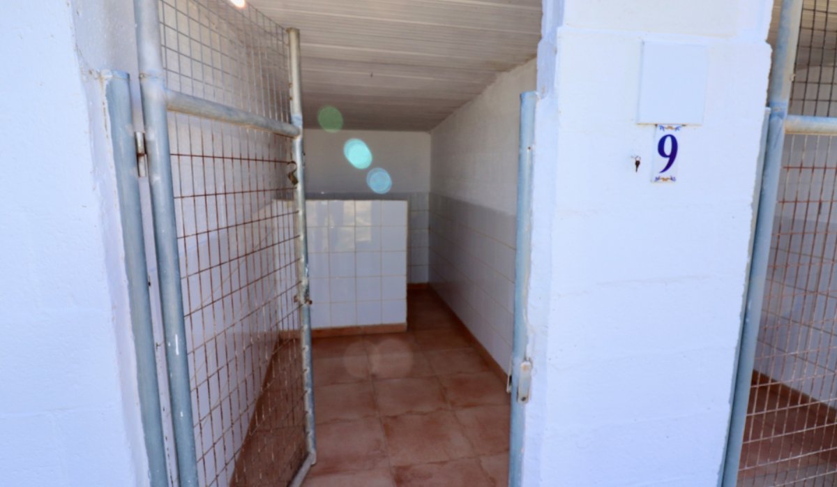 Resale - Villa - Catral