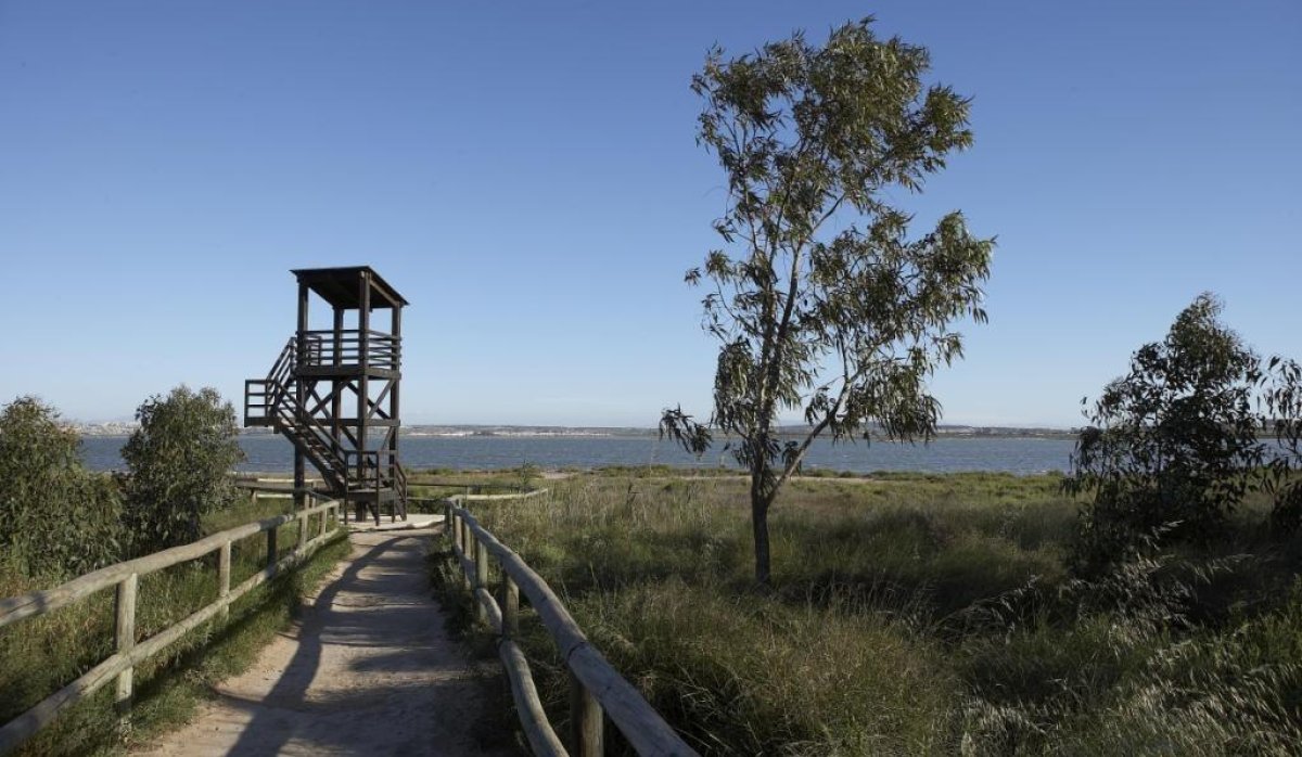 Obra nueva - Ático - San Miguel de Salinas - Pueblo