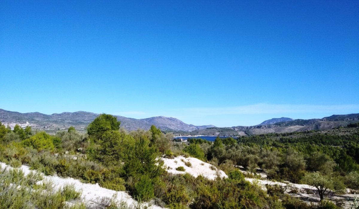Reventa - Parcela / Terreno - Benimarfull