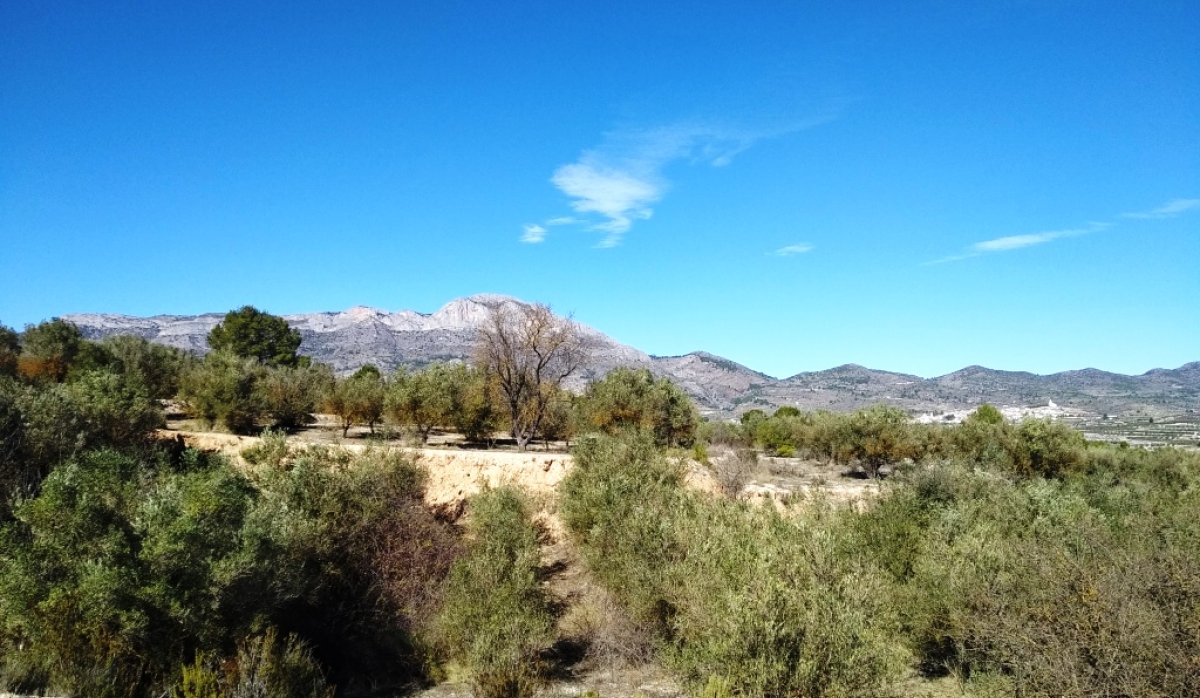 Reventa - Parcela / Terreno - Benimarfull
