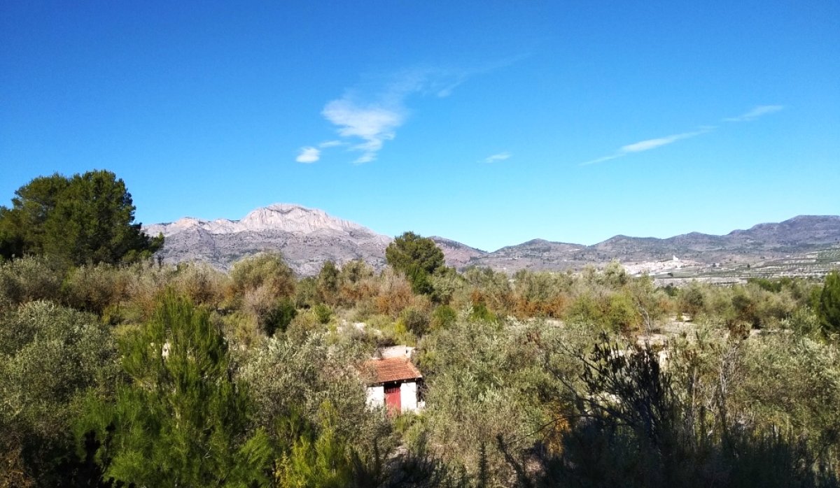 Reventa - Parcela / Terreno - Benimarfull