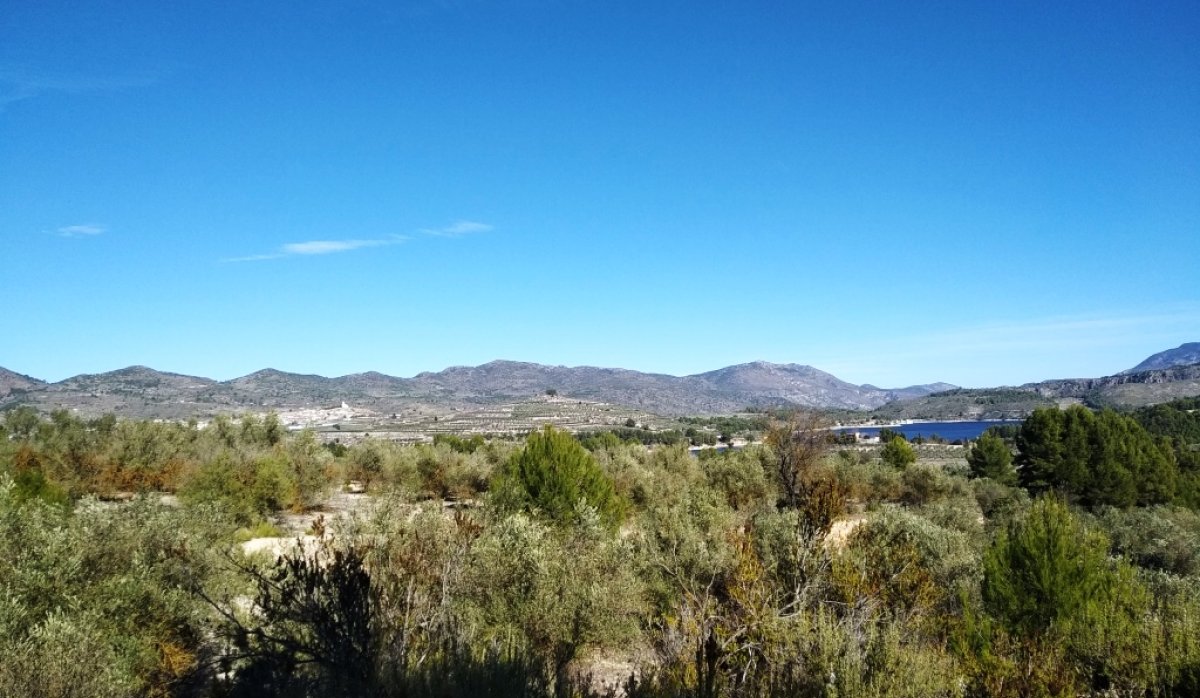 Reventa - Parcela / Terreno - Benimarfull