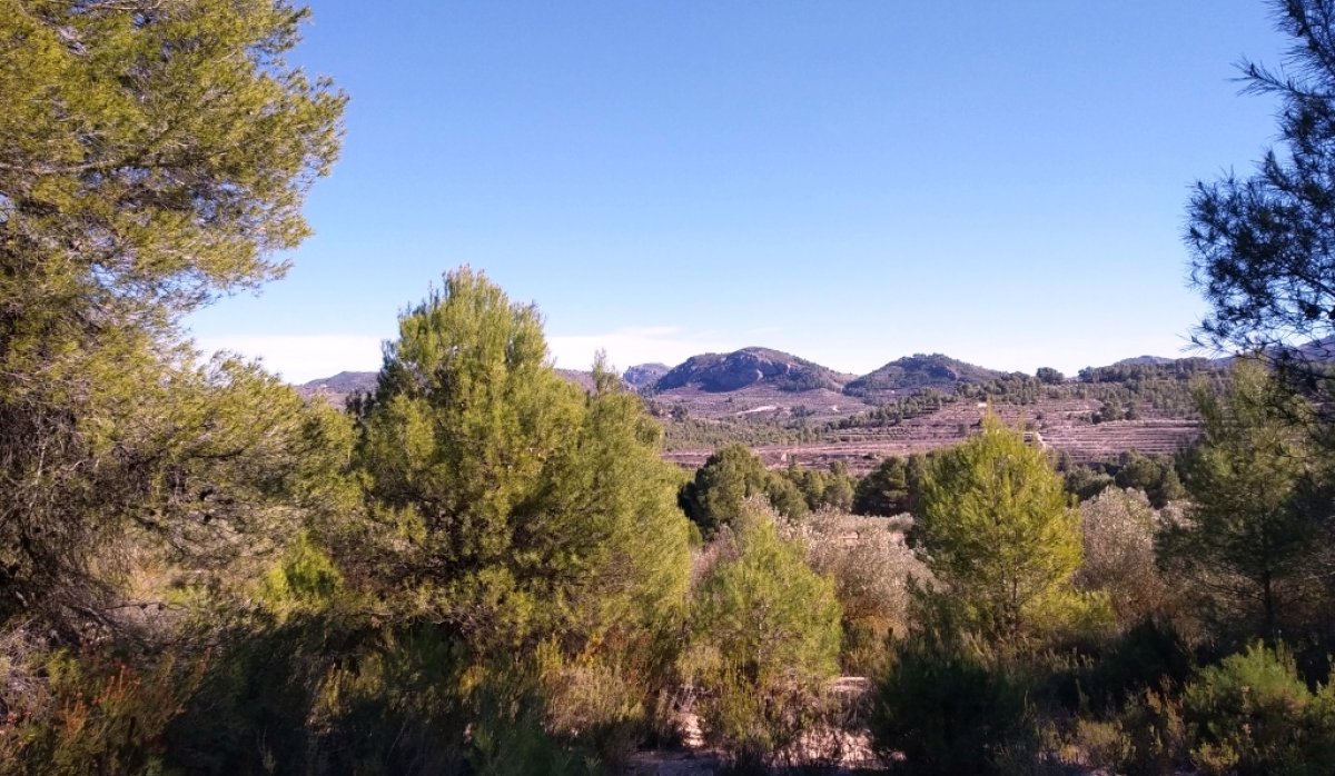 Reventa - Parcela / Terreno - Benimarfull