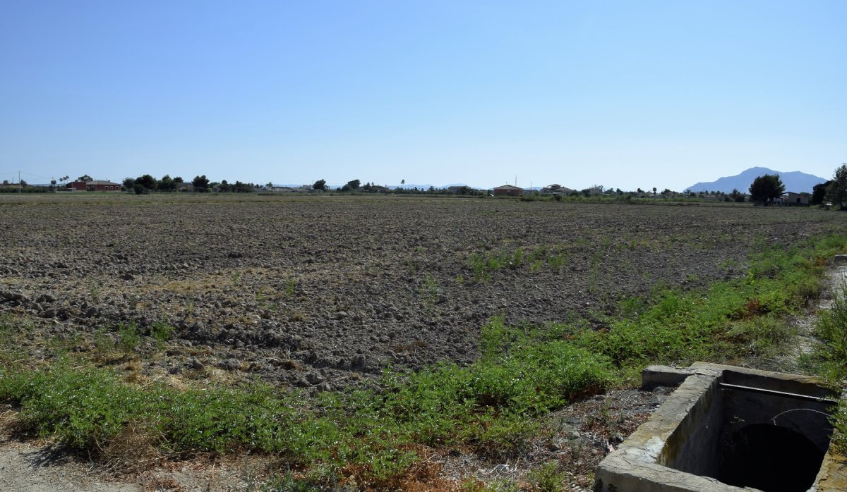 Reventa - Parcela / Terreno - Catral