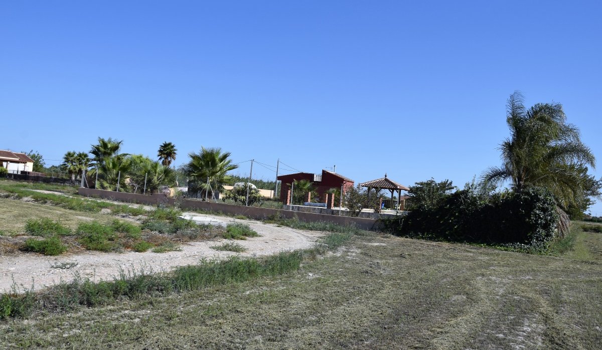 Reventa - Parcela / Terreno - Catral