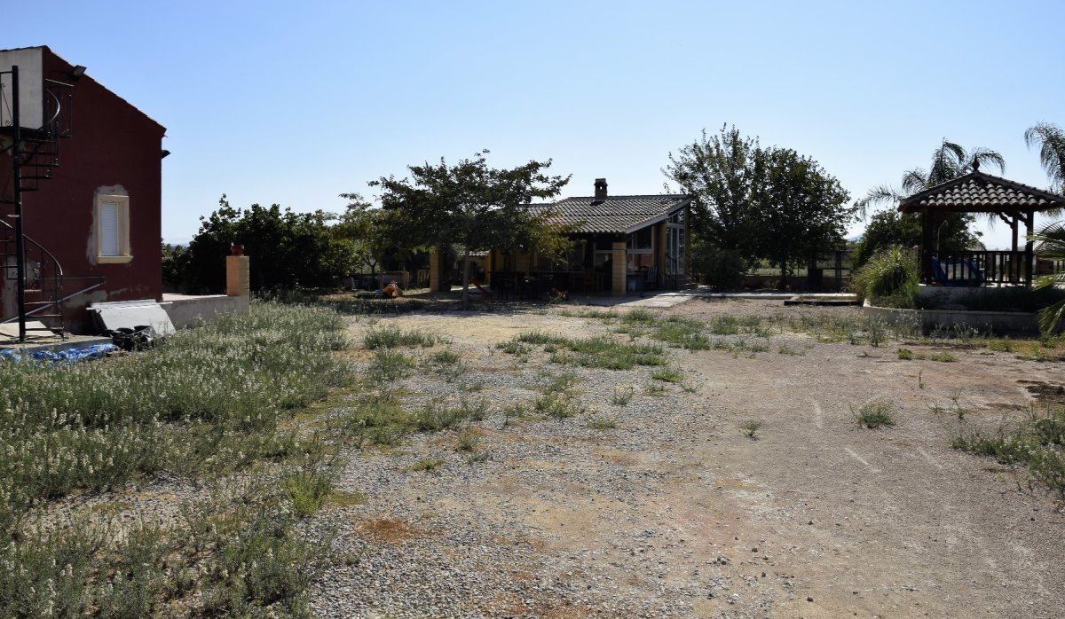 Reventa - Parcela / Terreno - Catral