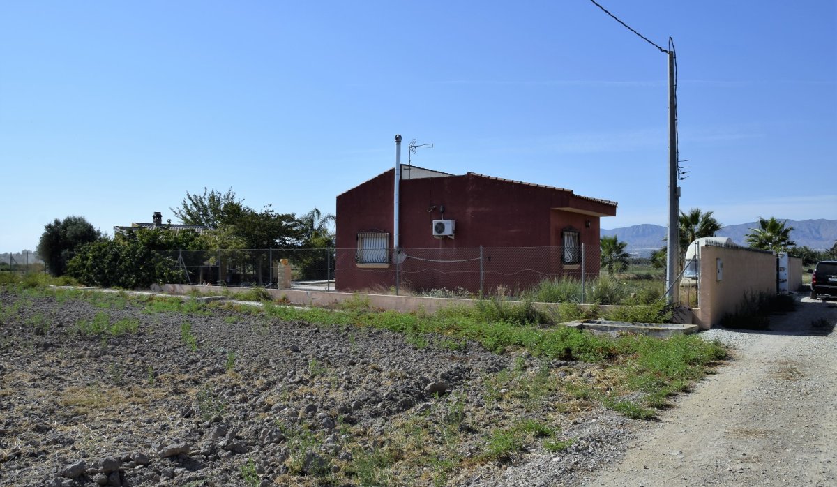 Reventa - Parcela / Terreno - Catral