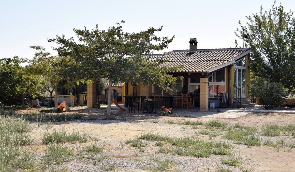 Reventa - Parcela / Terreno - Catral