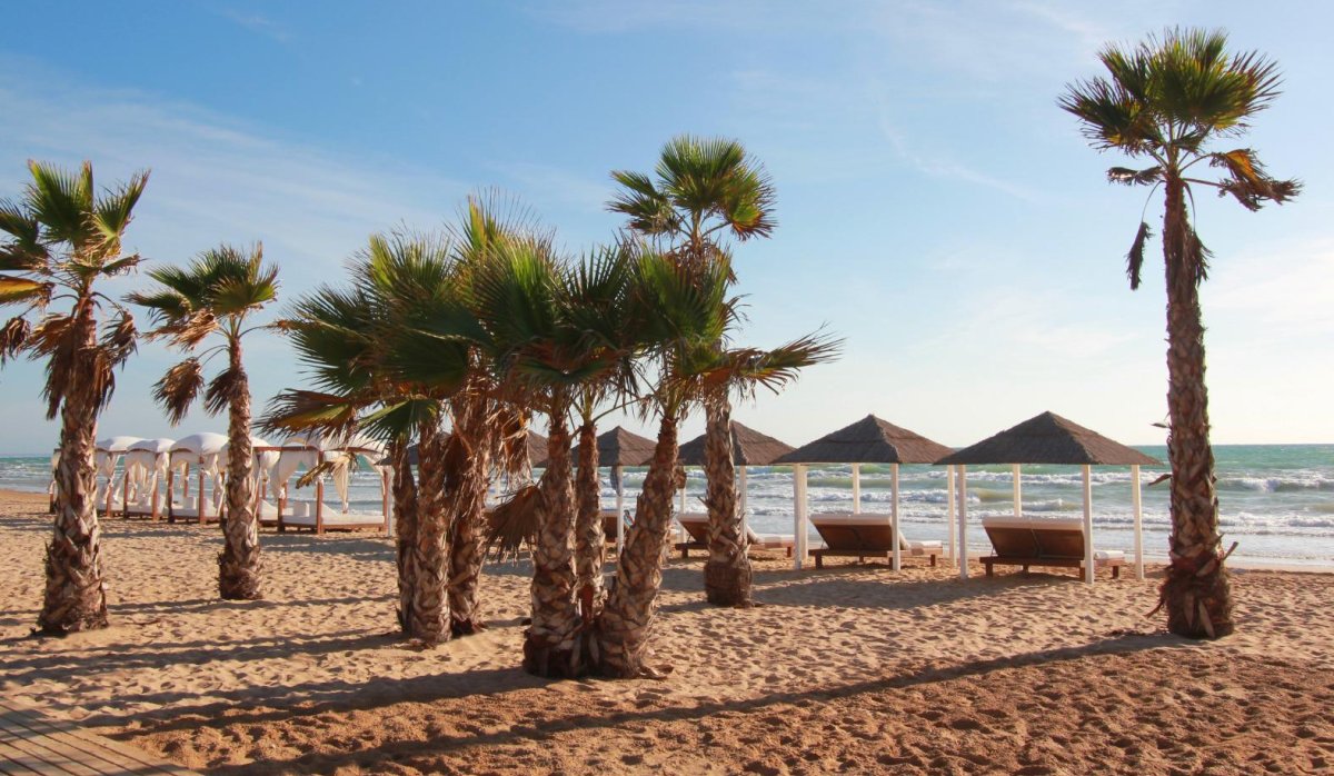 Reventa - Apartamento / piso - Guardamar del Segura