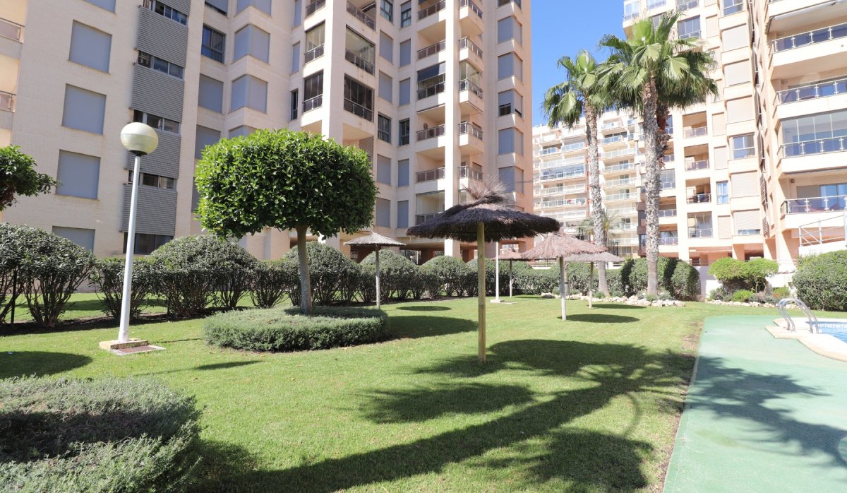 Reventa - Adosado - Guardamar del Segura
