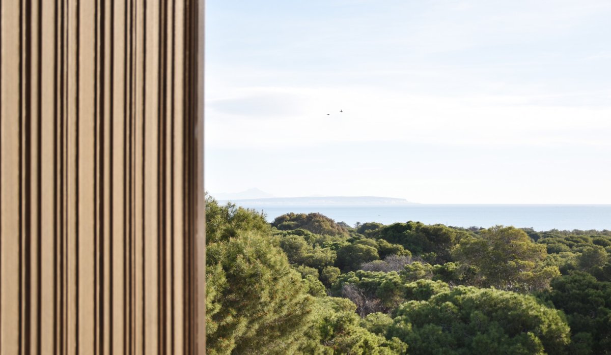 Revente - Parcelle / Terrain - Guardamar del Segura