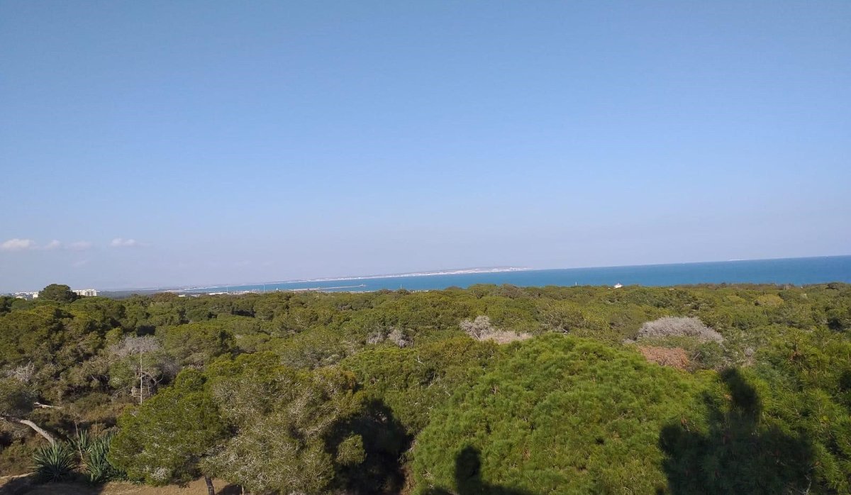 Revente - Parcelle / Terrain - Guardamar del Segura