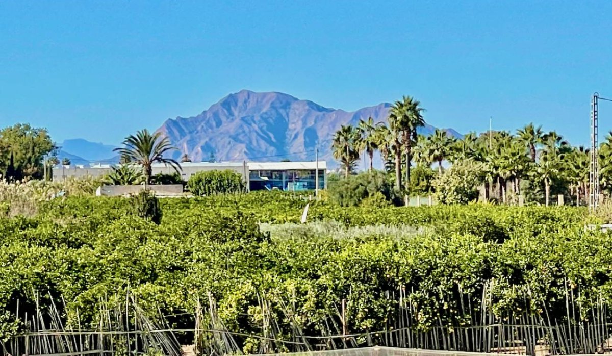 Resale - Villa - Guardamar del Segura