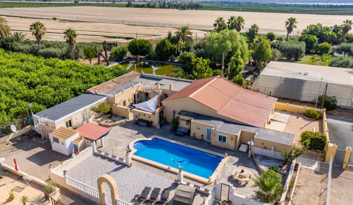 Revente - Villa - Montesinos - Los Montesinos