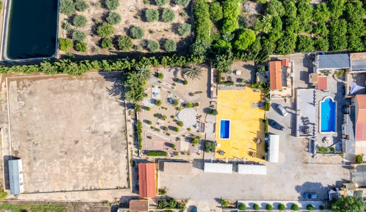 Revente - Villa - Montesinos - Los Montesinos