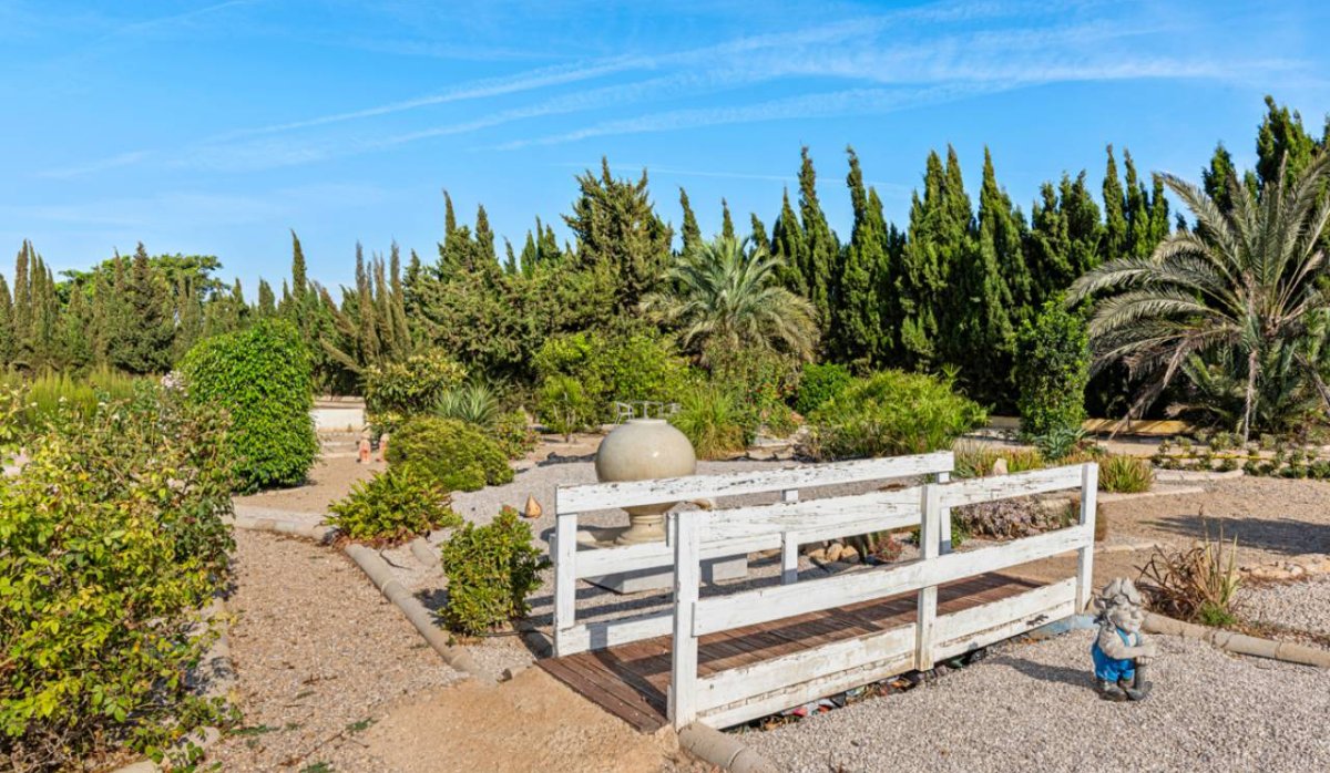 Revente - Villa - Montesinos - Los Montesinos