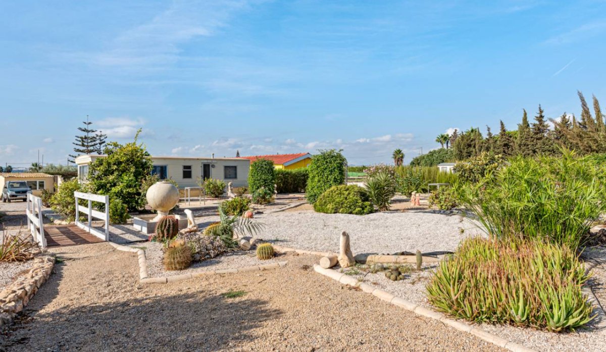 Revente - Villa - Montesinos - Los Montesinos
