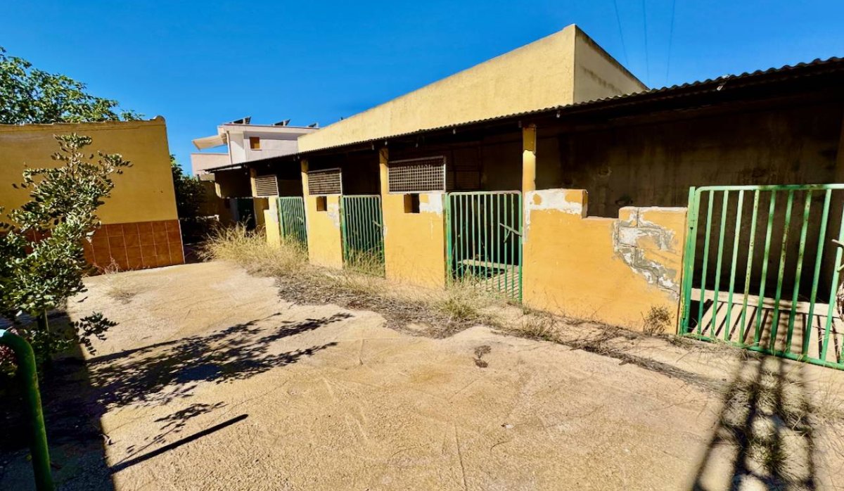 Revente - Villa - Montesinos - Los Montesinos