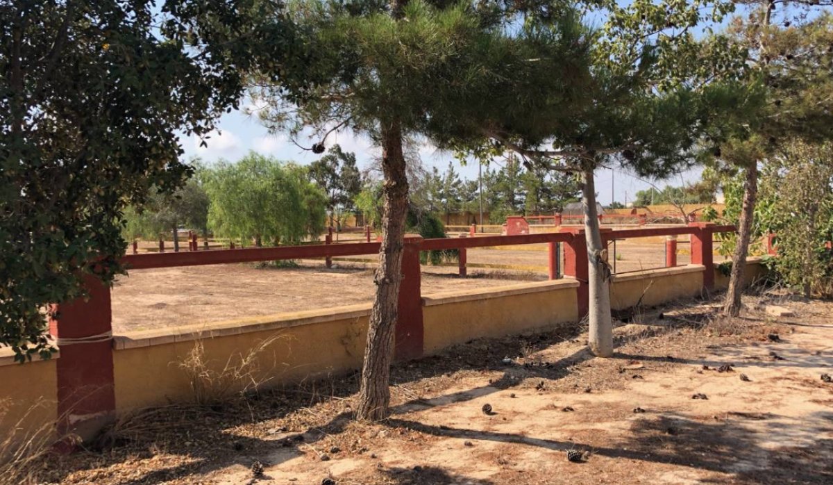 Revente - Villa - Montesinos - Los Montesinos