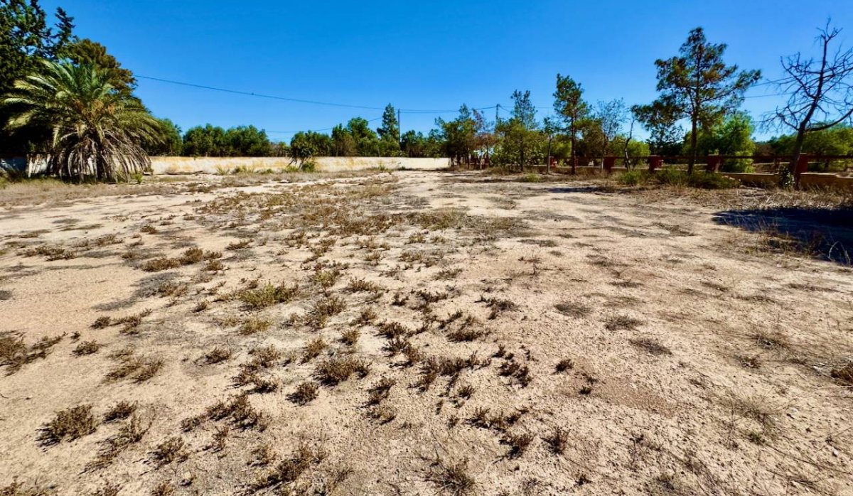 Revente - Villa - Montesinos - Los Montesinos