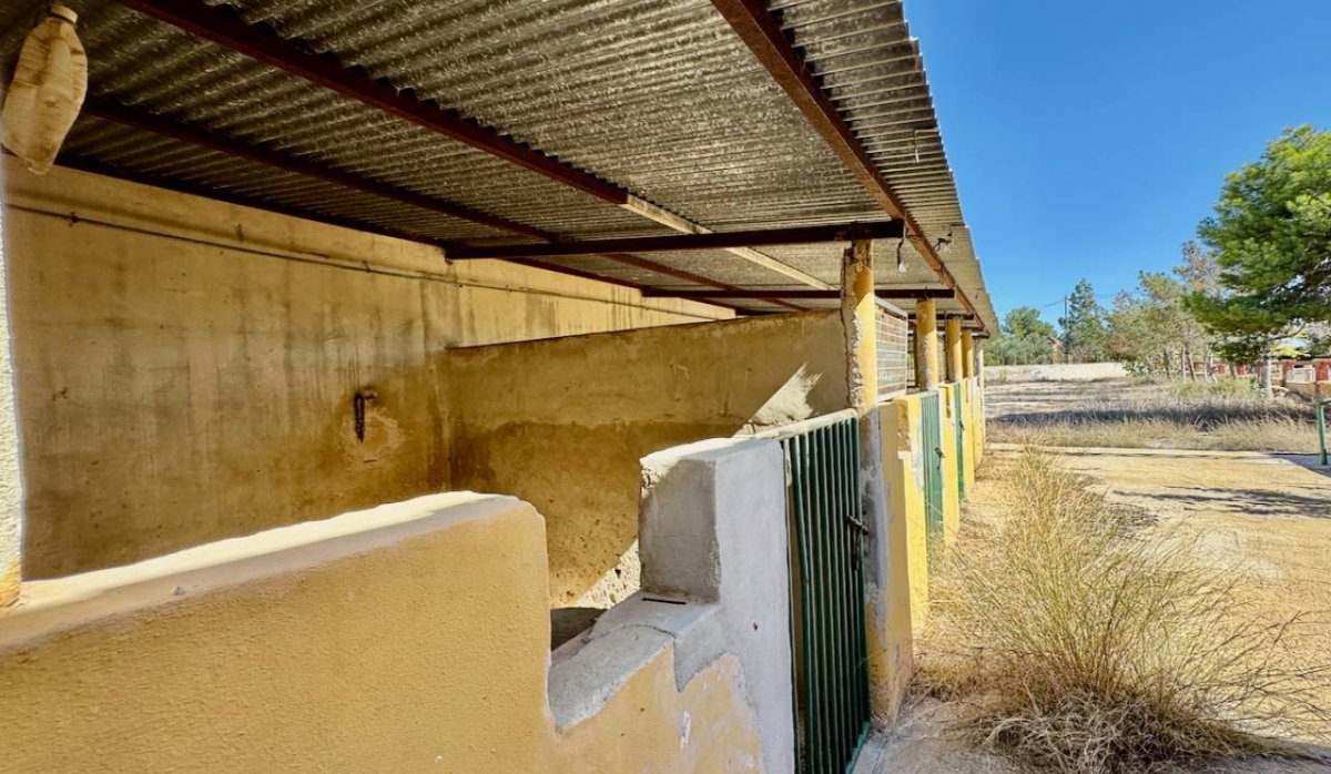 Revente - Villa - Montesinos - Los Montesinos