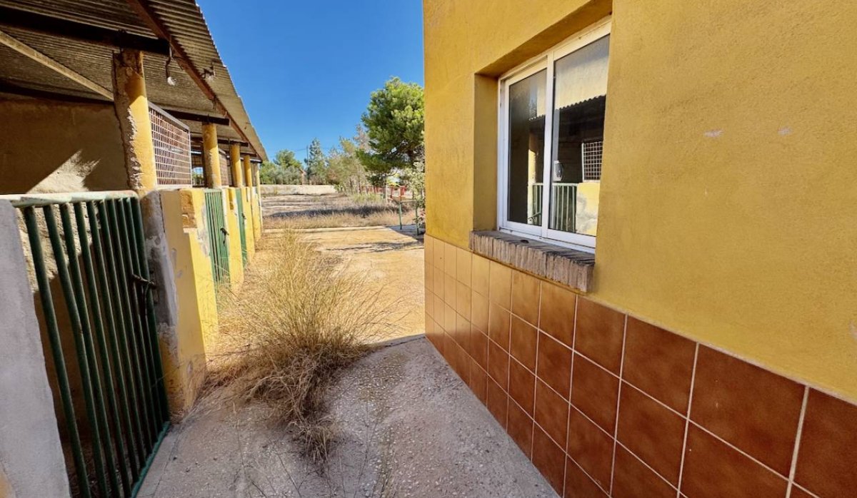 Revente - Villa - Montesinos - Los Montesinos