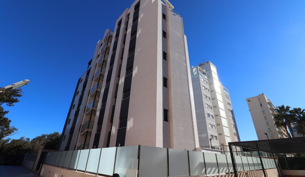 Resale - Apartment / flat - Guardamar del Segura - Guardamar del Segura - Town