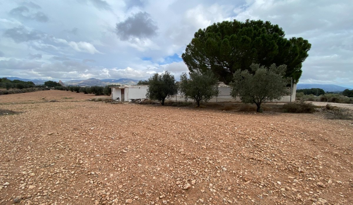 Resale - Villa - Sax