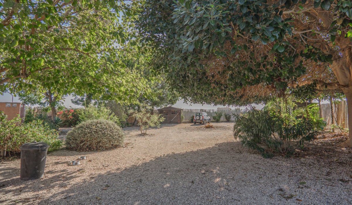 Revente - Country Property - Orihuela - San Bartolome