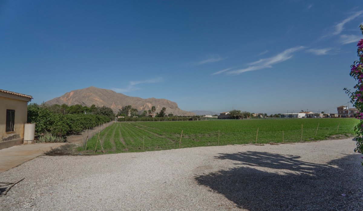 Revente - Country Property - Orihuela - San Bartolome