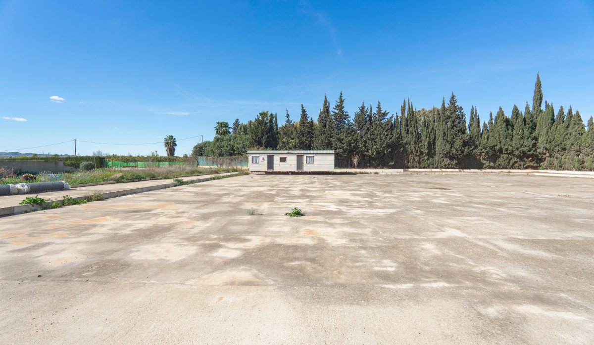 Revente - Country Property - Montesinos - Los Montesinos