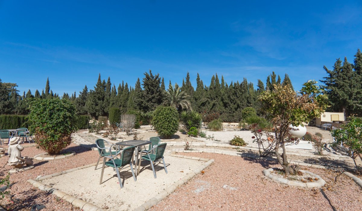 Revente - Country Property - Montesinos - Los Montesinos