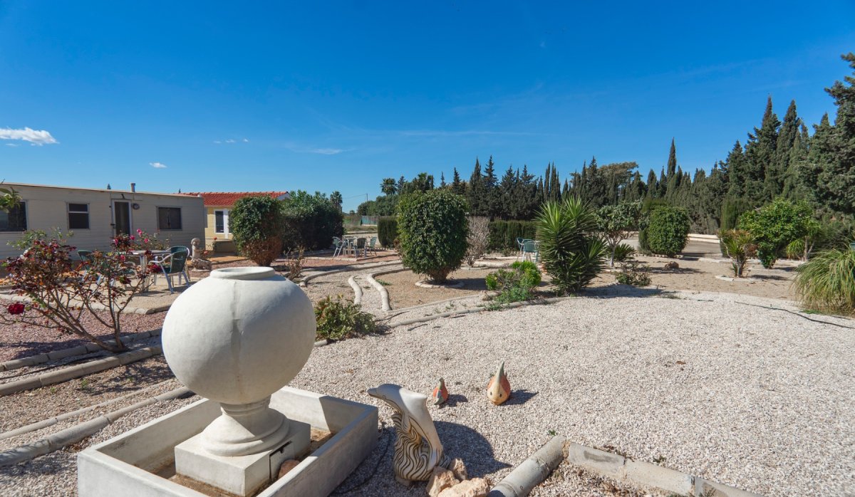 Revente - Country Property - Montesinos - Los Montesinos