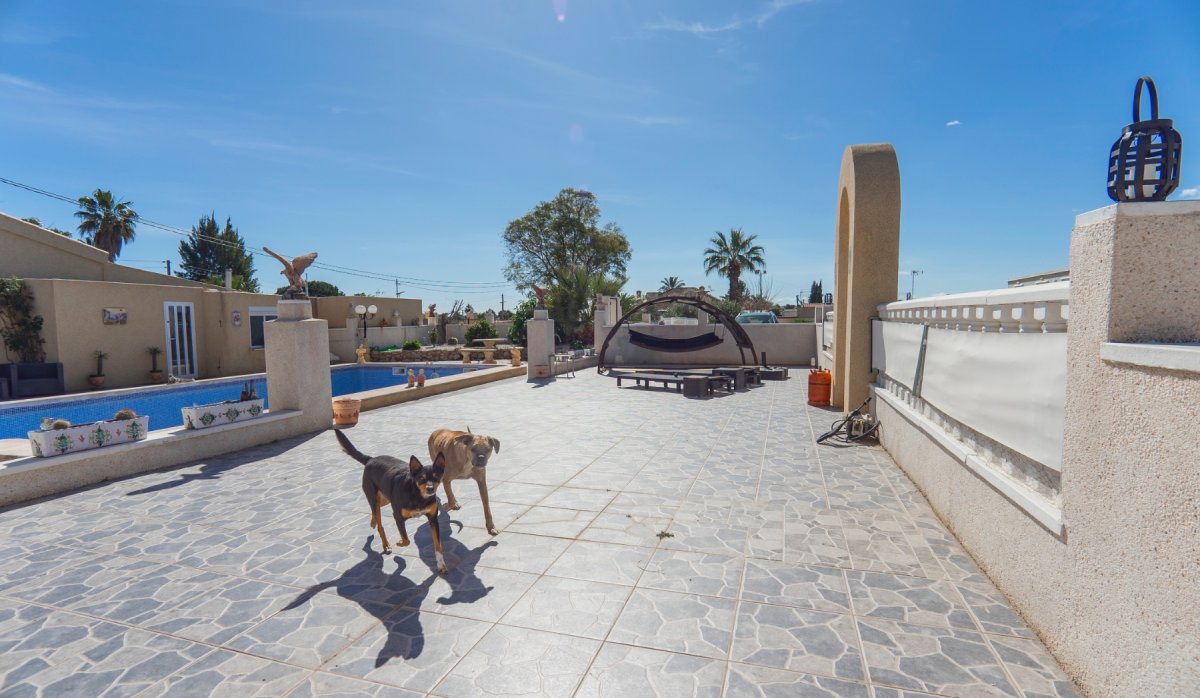 Revente - Country Property - Montesinos - Los Montesinos