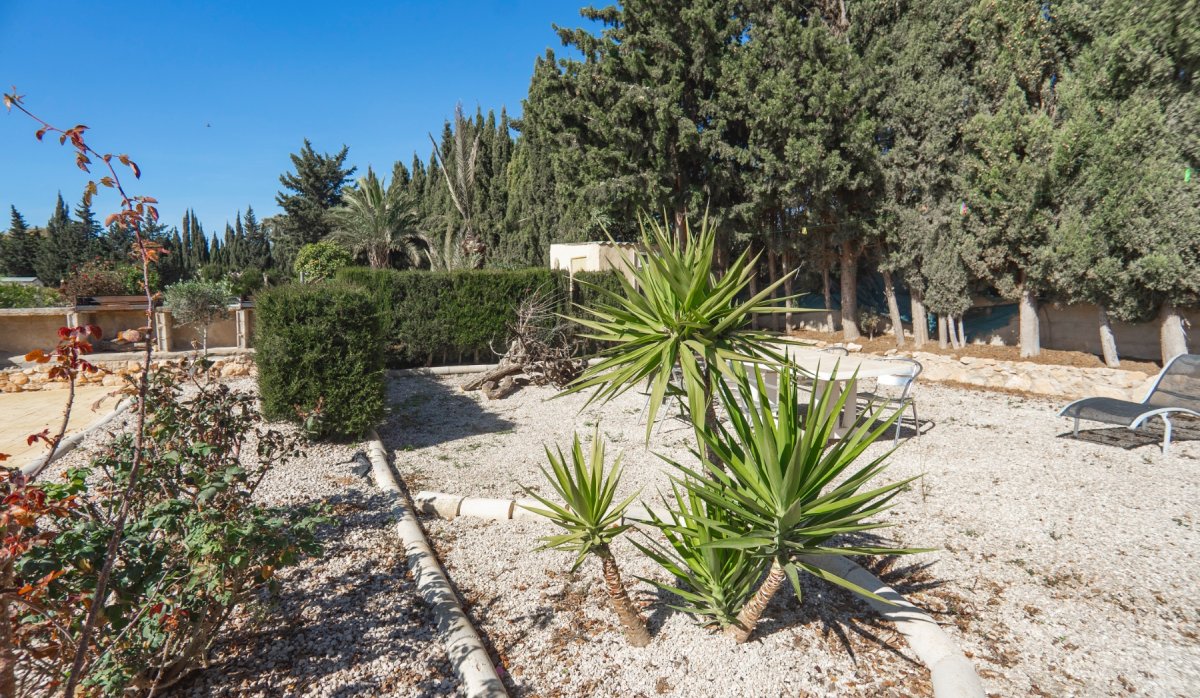 Revente - Country Property - Montesinos - Los Montesinos