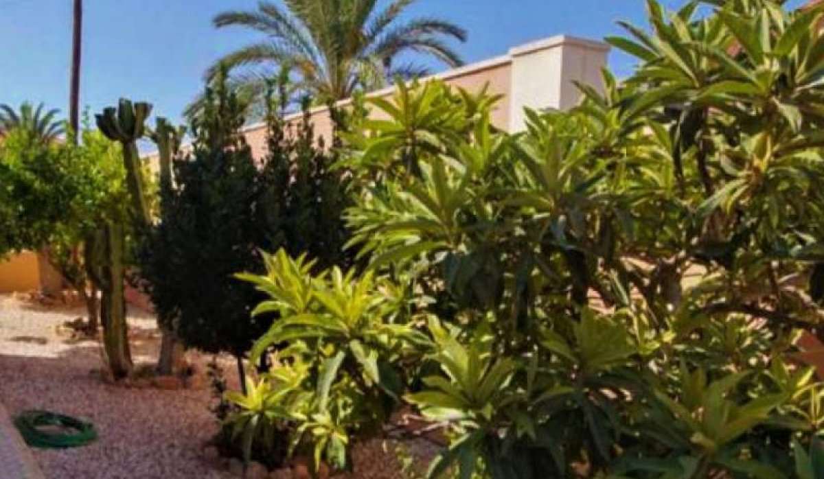 Revente - Villa - Torrevieja