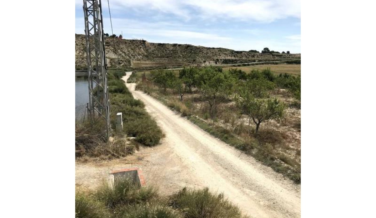 Revente - Parcelle / Terrain - Pilar de la Horadada - La Perdiz