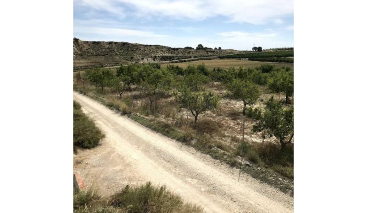 Revente - Parcelle / Terrain - Pilar de la Horadada - La Perdiz