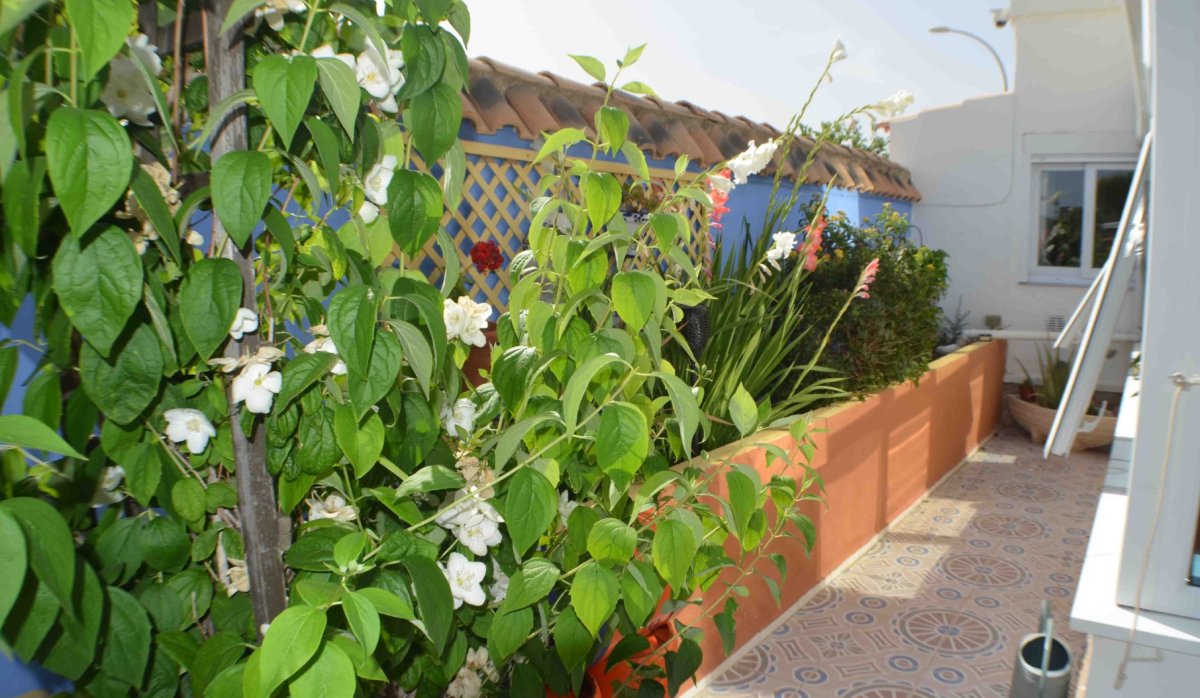 Revente - Villa - Playa Flamenca - Alicante