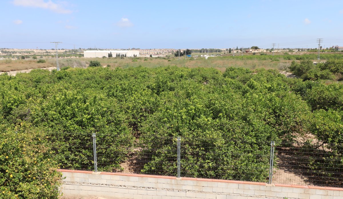 Reventa - Villa - Algorfa
