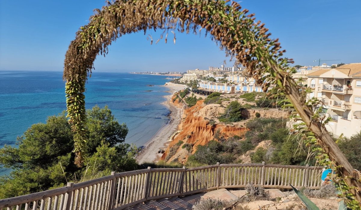 Resale - Apartment / flat - Cabo Roig