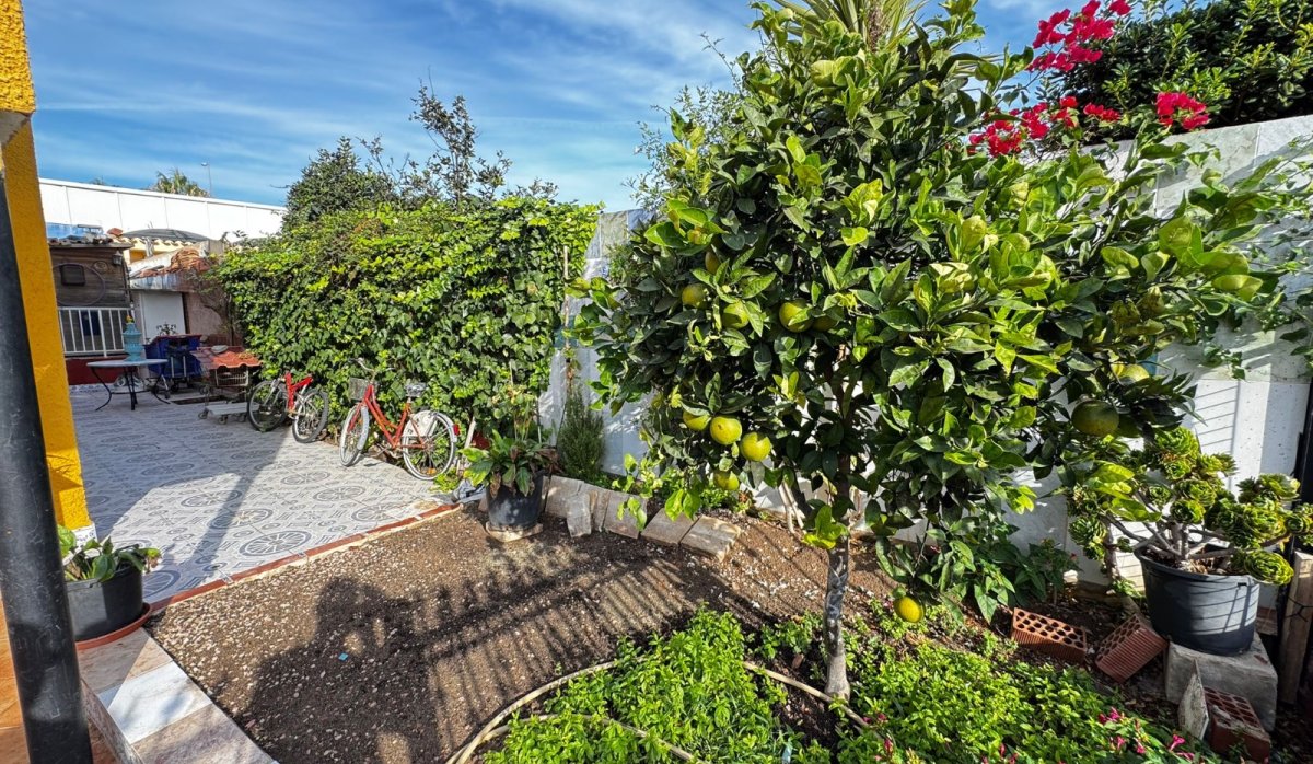 Resale - Villa - Punta Prima