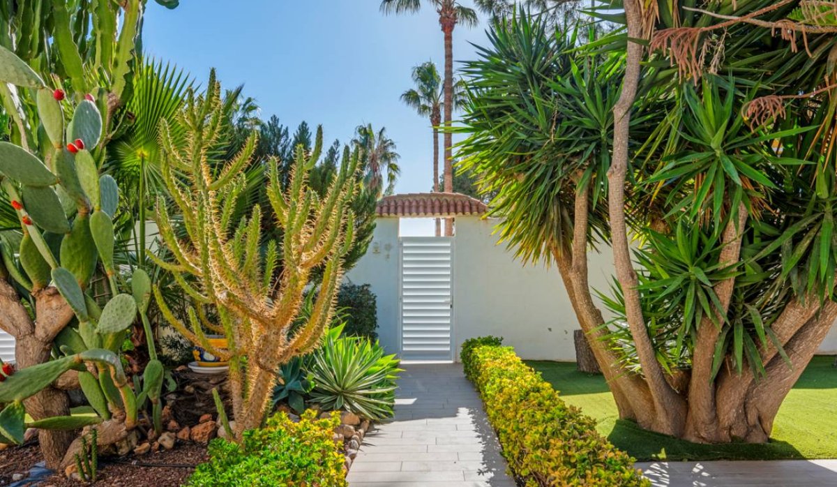 Reventa - Villa - Ciudad quesada - Doña Pepa