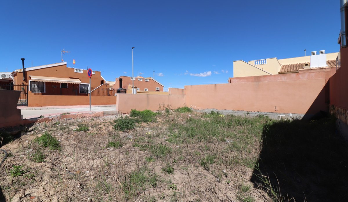 Revente - Parcelle / Terrain - Daya Nueva - Daya Nueva - Town